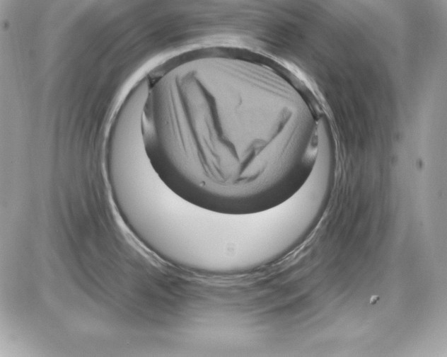 X0000085811342200704131937