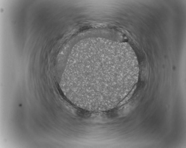 X0000085811345200704131936