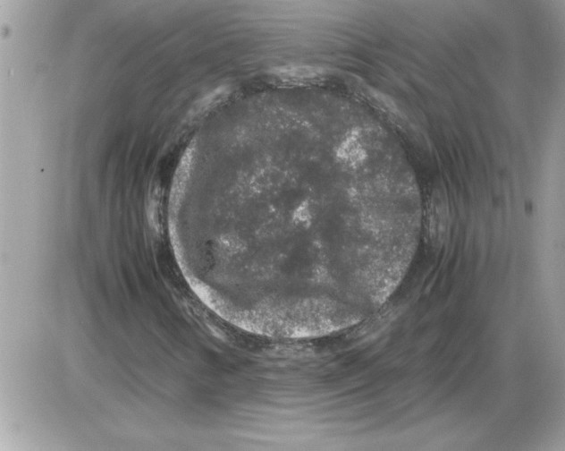 X0000085811346200704131936