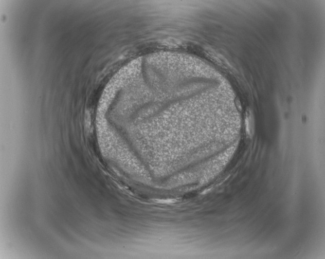 X0000085811347200704131936