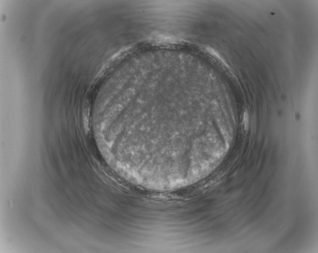 X0000085811348200704131936