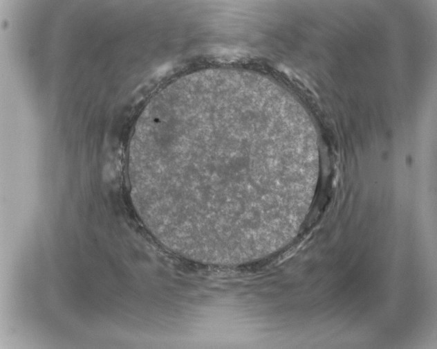 X0000085811349200704131936