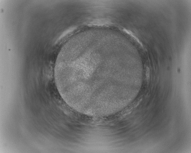 X0000085811350200704131936