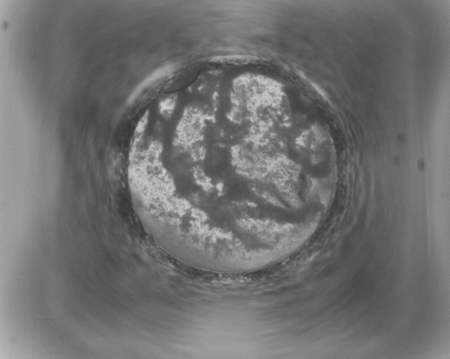 X0000085811351200704131936