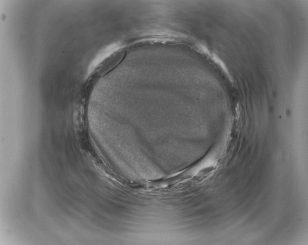 X0000085811352200704131936