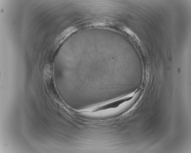 X0000085811353200704131936