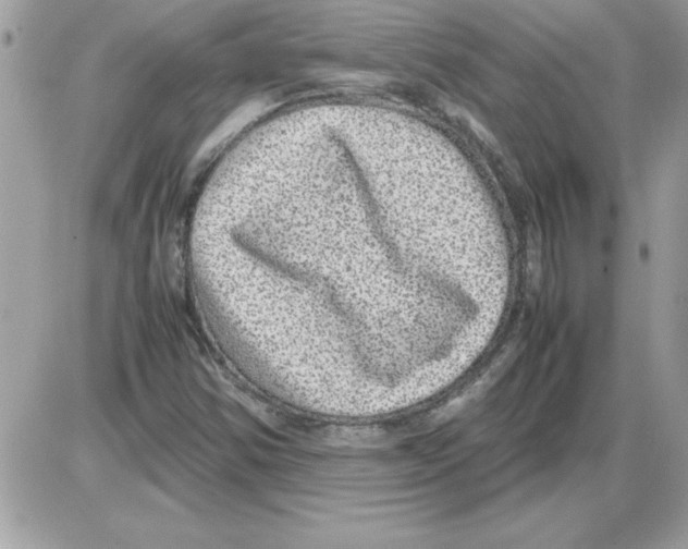 X0000085811354200704131936