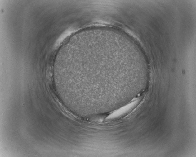 X0000085811355200704131936