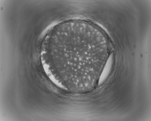 X0000085811359200704131936