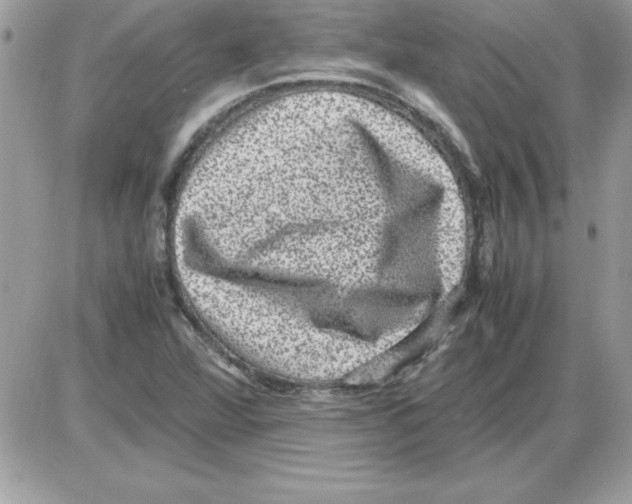 X0000085811360200704131936