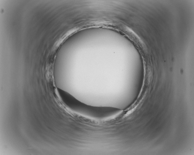 X0000085811361200704131936