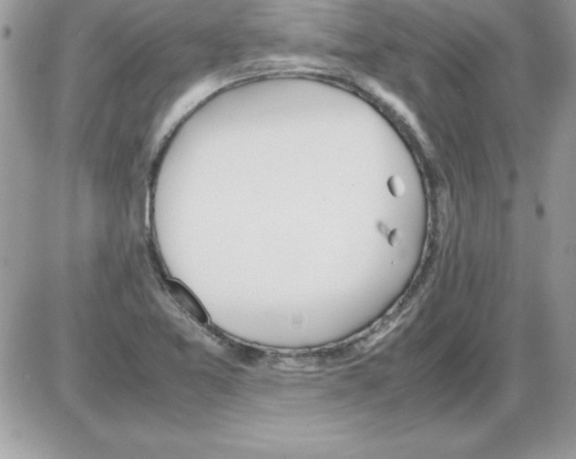 X0000085811365200704131936