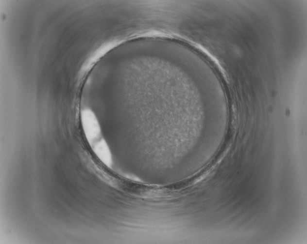 X0000085811367200704131936