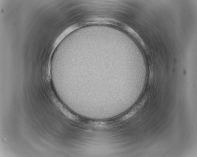 X0000085811370200704131936