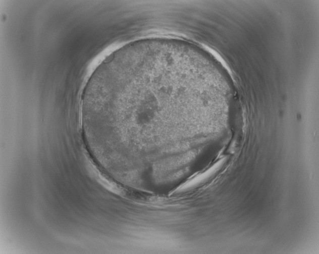 X0000085811371200704131935