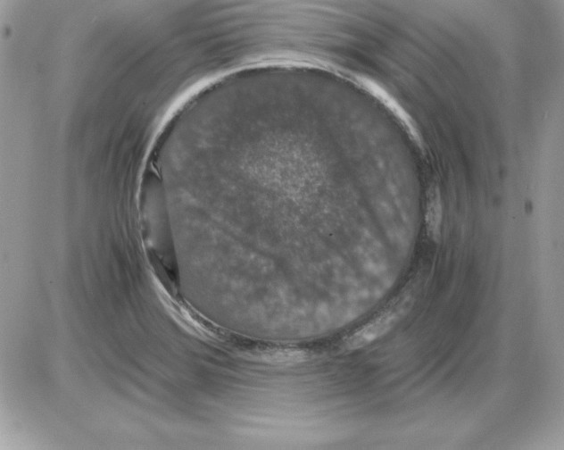 X0000085811372200704131935