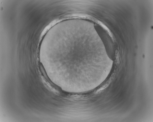 X0000085811373200704131935