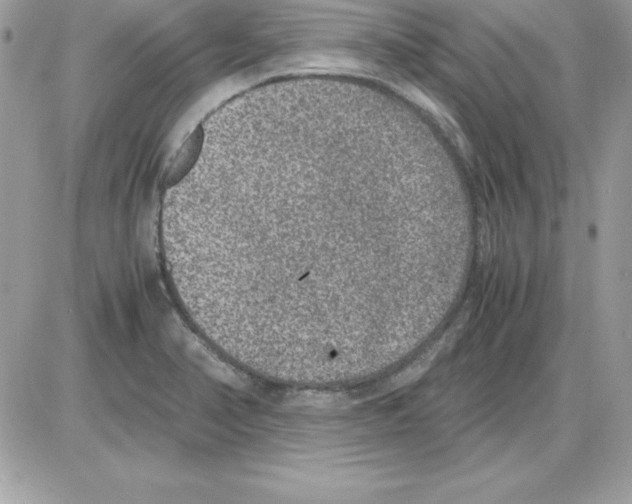 X0000085811374200704131935