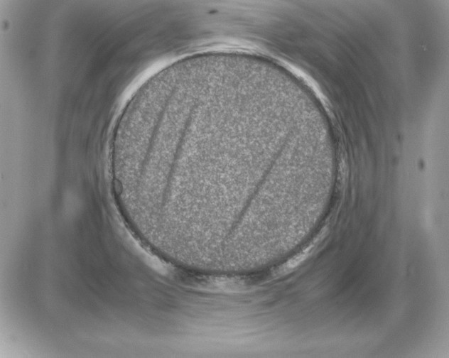 X0000085811375200704131935