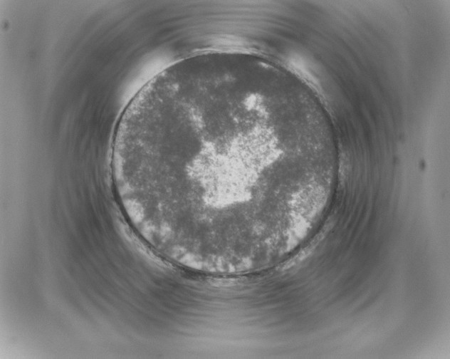 X0000085811378200704131935