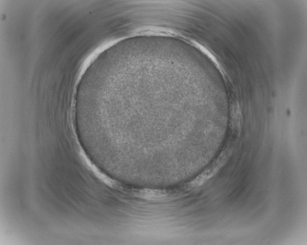 X0000085811379200704131935