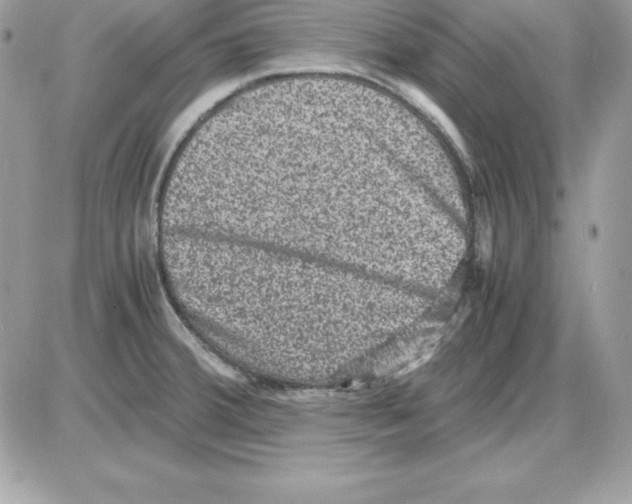 X0000085811380200704131935