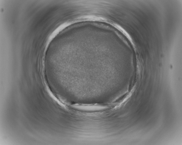 X0000085811381200704131935