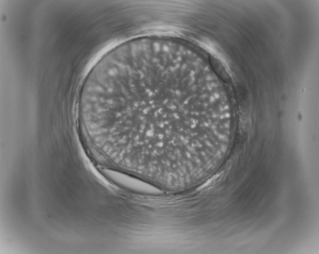 X0000085811383200704131935