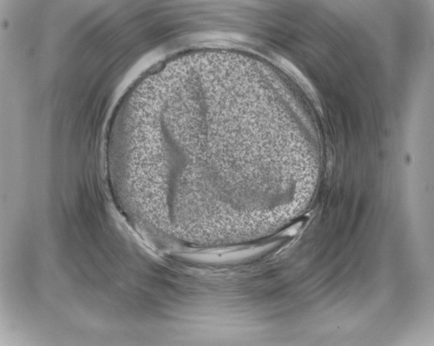 X0000085811384200704131935