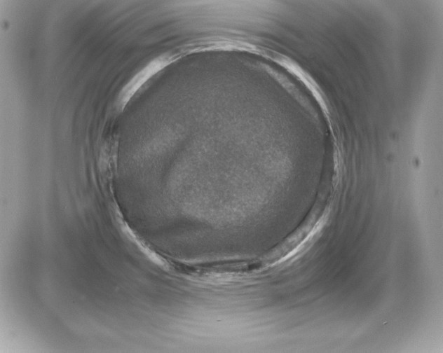 X0000085811385200704131935