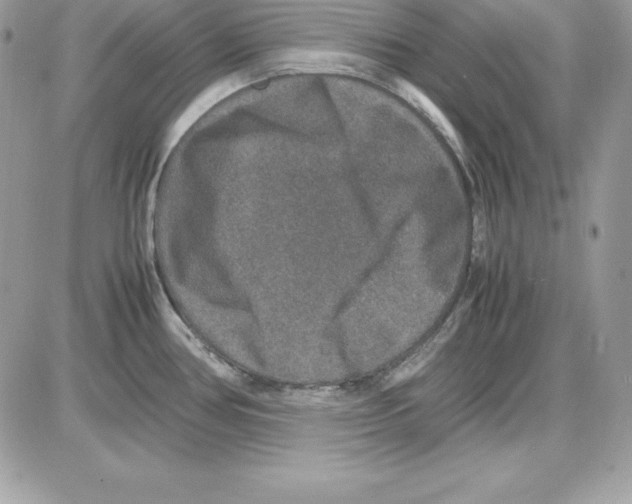 X0000085811386200704131935