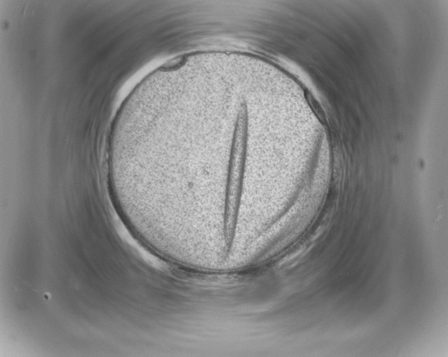 X0000085811387200704131935