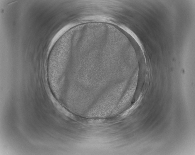 X0000085811389200704131935