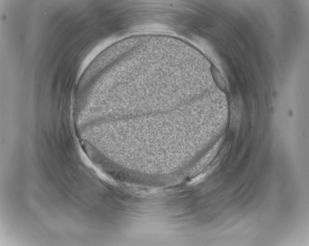 X0000085811390200704131935