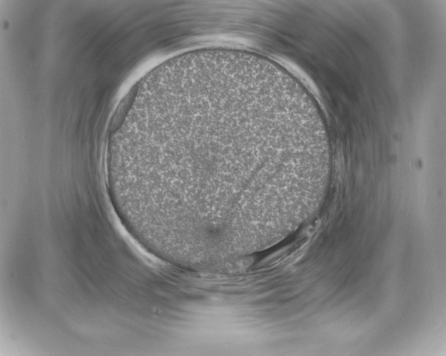 X0000085811391200704131935