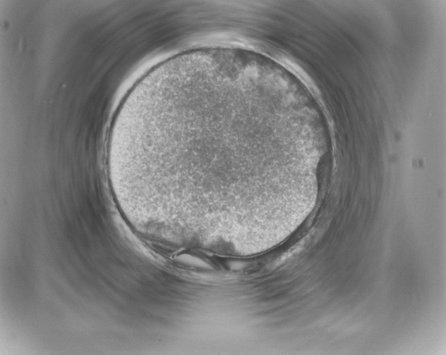 X0000085811392200704131935