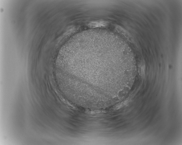 X0000085811393200704131934