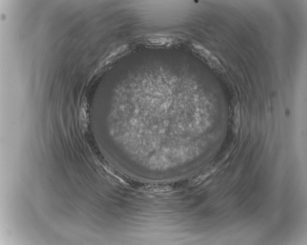 X0000085811394200704131934