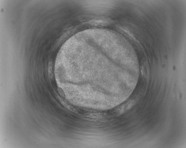 X0000085811396200704131934