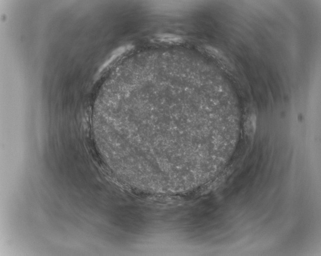 X0000085811397200704131934