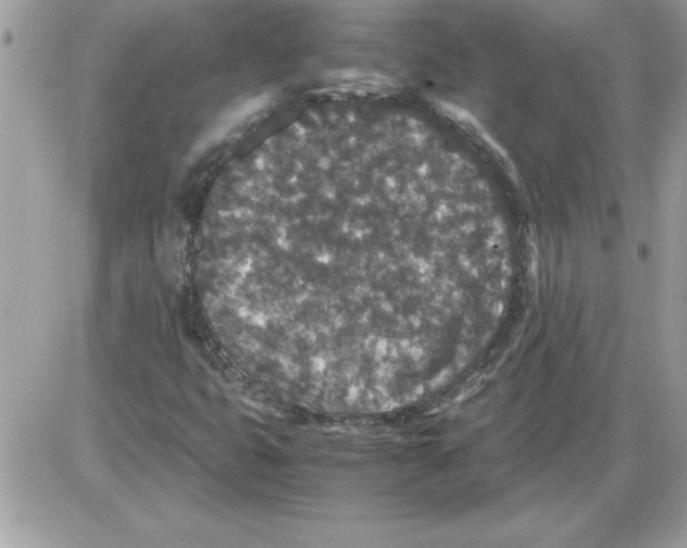 X0000085811399200704131934