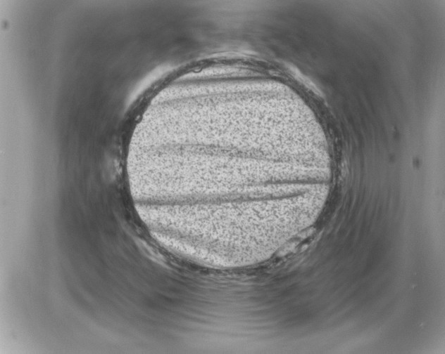 X0000085811400200704131934