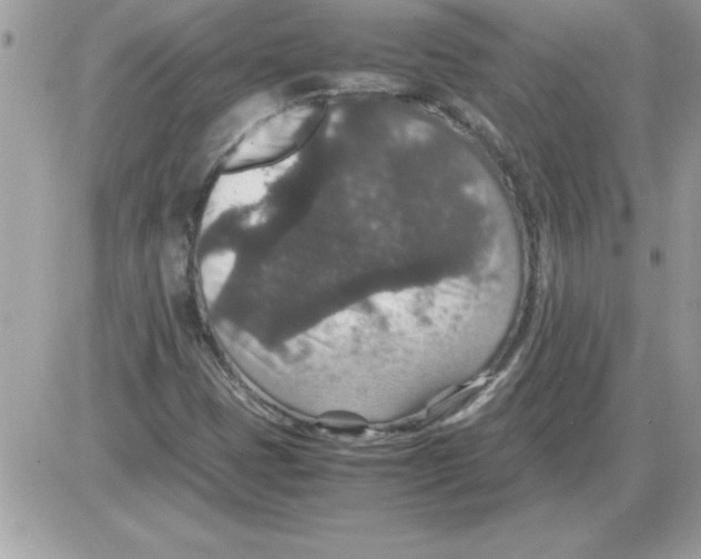 X0000085811401200704131934