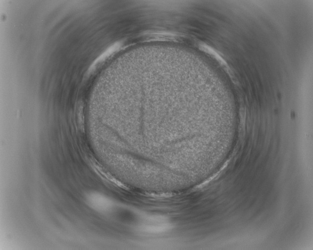 X0000085811403200704131935