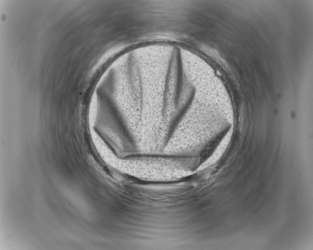 X0000085811404200704131935