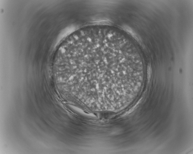 X0000085811405200704131935