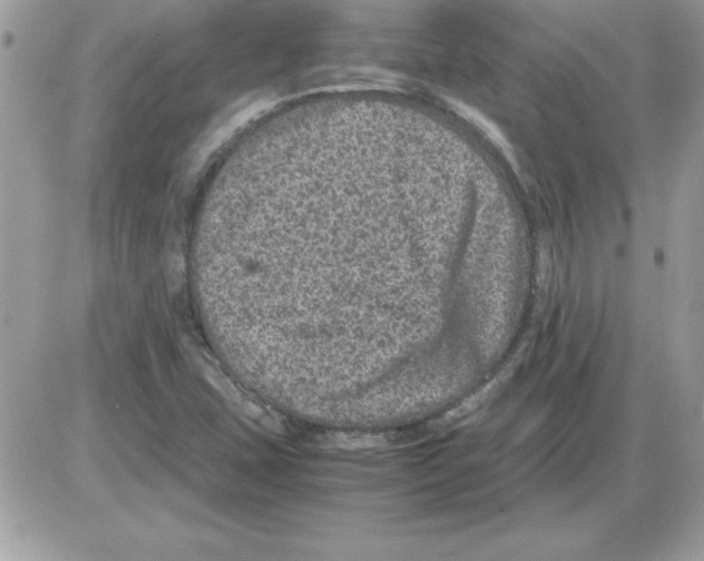 X0000085811407200704131935