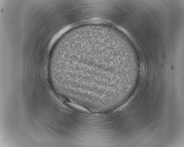 X0000085811410200704131935