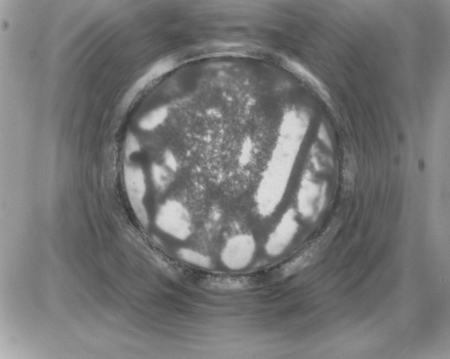 X0000085811411200704131935