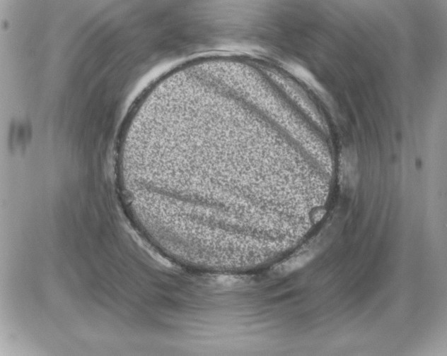 X0000085811412200704131935